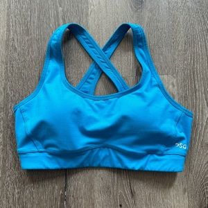 Dicks Sporting Good Sports Bra